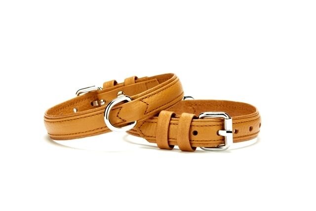 Doggie Deri Köpek Boyun Tasması 2 cmx30-37cm Small Kamel