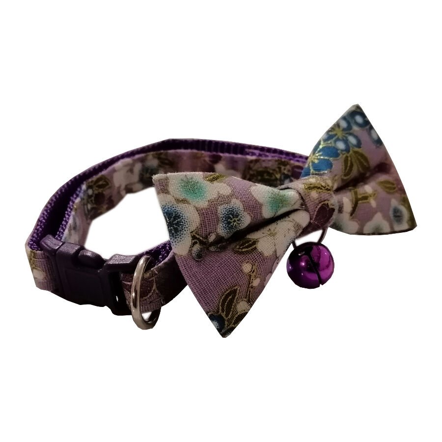Renkli Çanlı Papayonlu Kedi Boyun Tasması 32 cm Mor