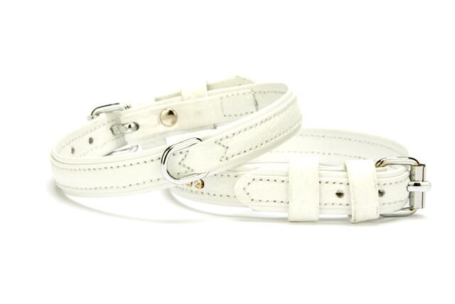 Doggie Flotter Çift Kat Deri Köpek Tasması 2x30-35 cm Beyaz