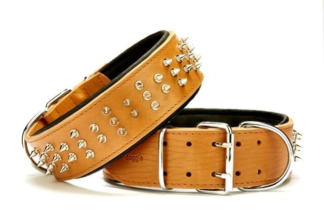 Doggie Ektsra Çivili Deri Köpek Boyun Tasması 5x60-70 cm Kamel