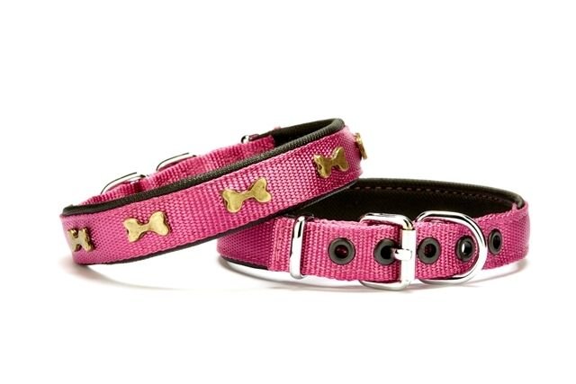 Doggie Softlu Kemik Desenli Köpek Tasması 2 cm x 45 cm Mor