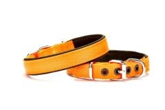 Doggie Dokuma Softlu Köpek Boyun Tasması 2 cm x 45 cm Turuncu