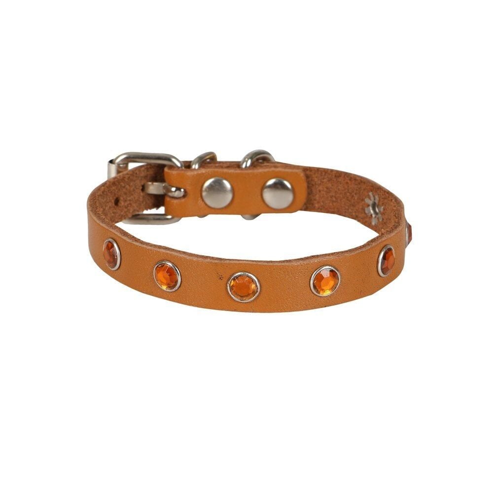 Doggie Taşlı Kedi ve Yavru Köpek Tasması 1,5x29 cm Kamel XLarge