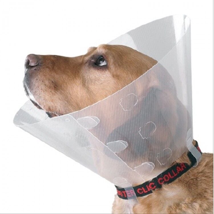 Elizabeth Kedi Köpek Yakalığı Small 15,cm ø/ 33-40cm