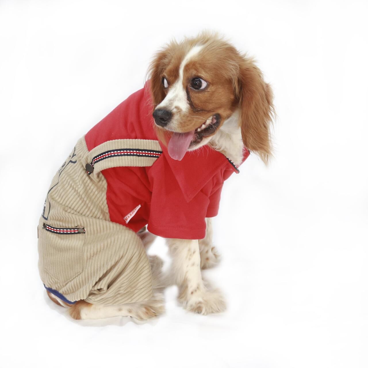 Cool Dude Tulum Kedi Köpek Tulumu Kıyafeti X Large