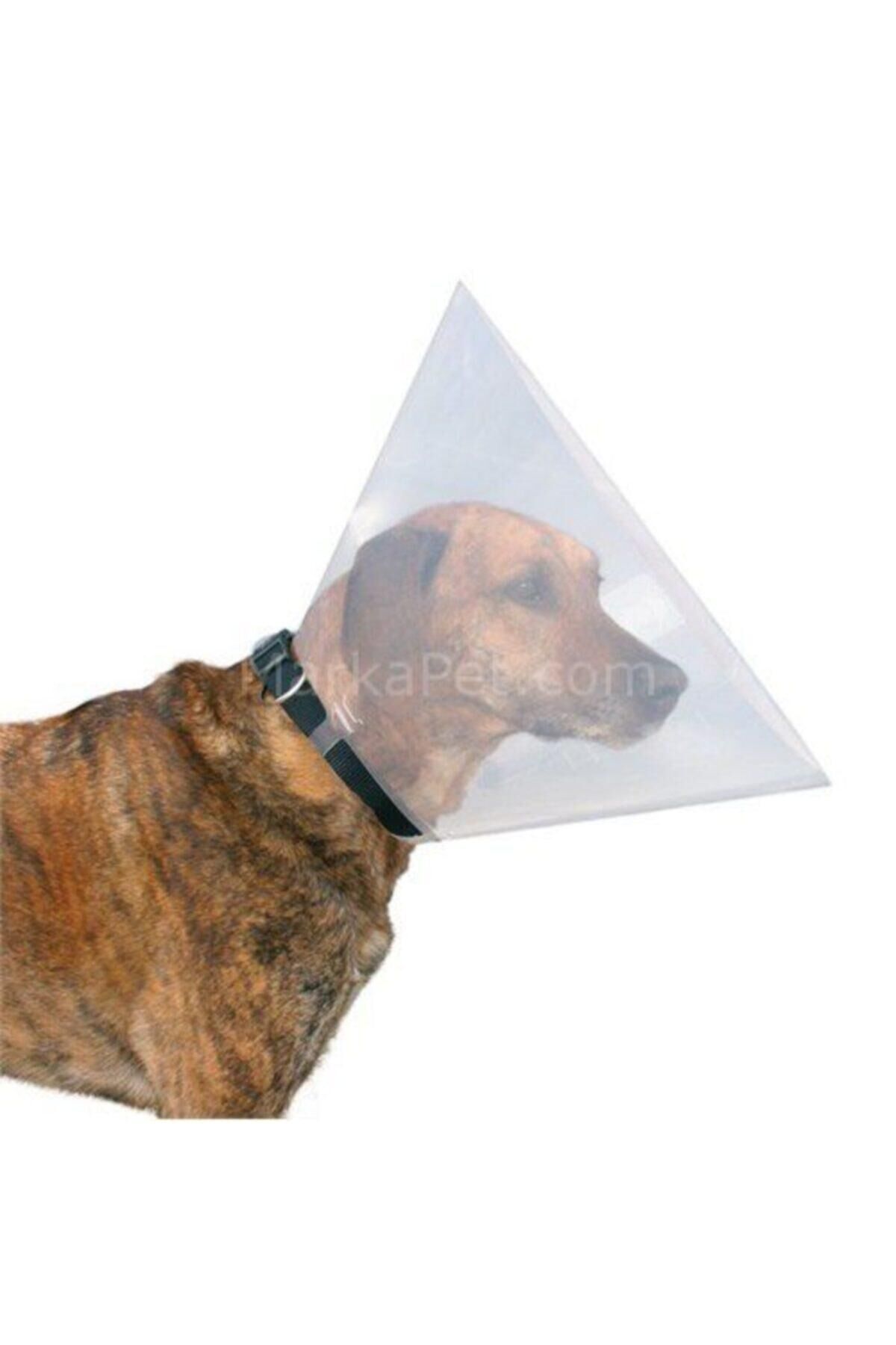 Elizabeth Köpek Yakalığı Medium 20cm ø/ 38-40cm