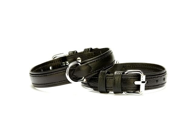 Doggie Deri Köpek Boyun Tasması 2 cmx30-37 cm Small Siyah