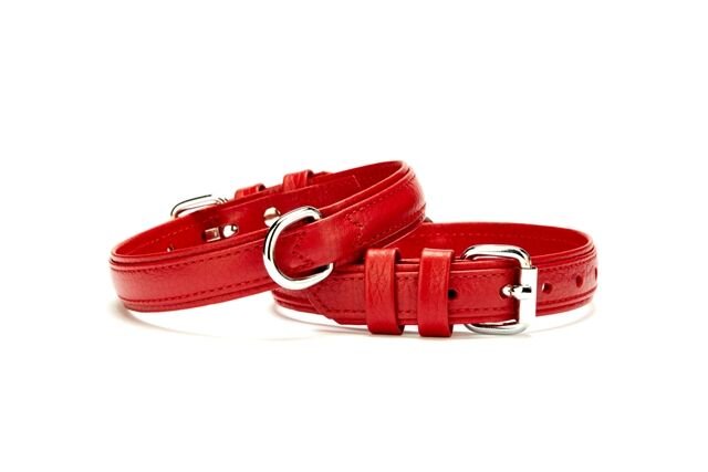 Doggie Flotter Çift Kat Deri Köpek Tasması 2,5x37-45 cm Kırmızı