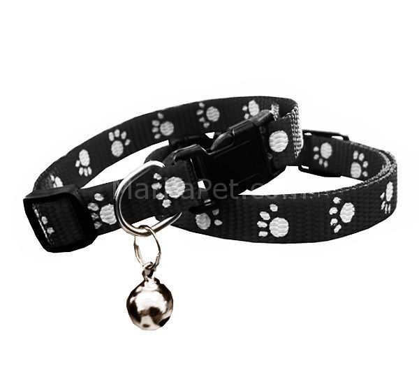 Eastland Zilli Patili Kedi Boyun Tasması 10mm*23-35 cm