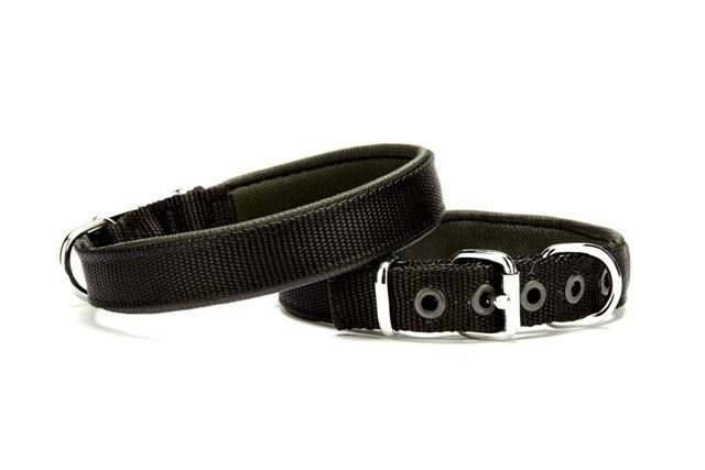 Yumuşak Doku Köpek Boyun Tasması 2,5 cm / 55 cm Siyah