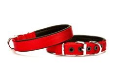 Yumuşak Doku Köpek Boyun Tasması 3,5 cm / 60 cm Kırmızı