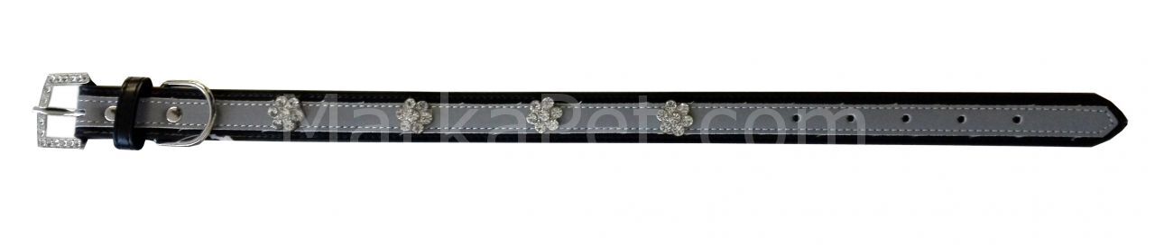 Dr.Sacchi Boyun Tasması Deri -Taşlı 2,5*50cm