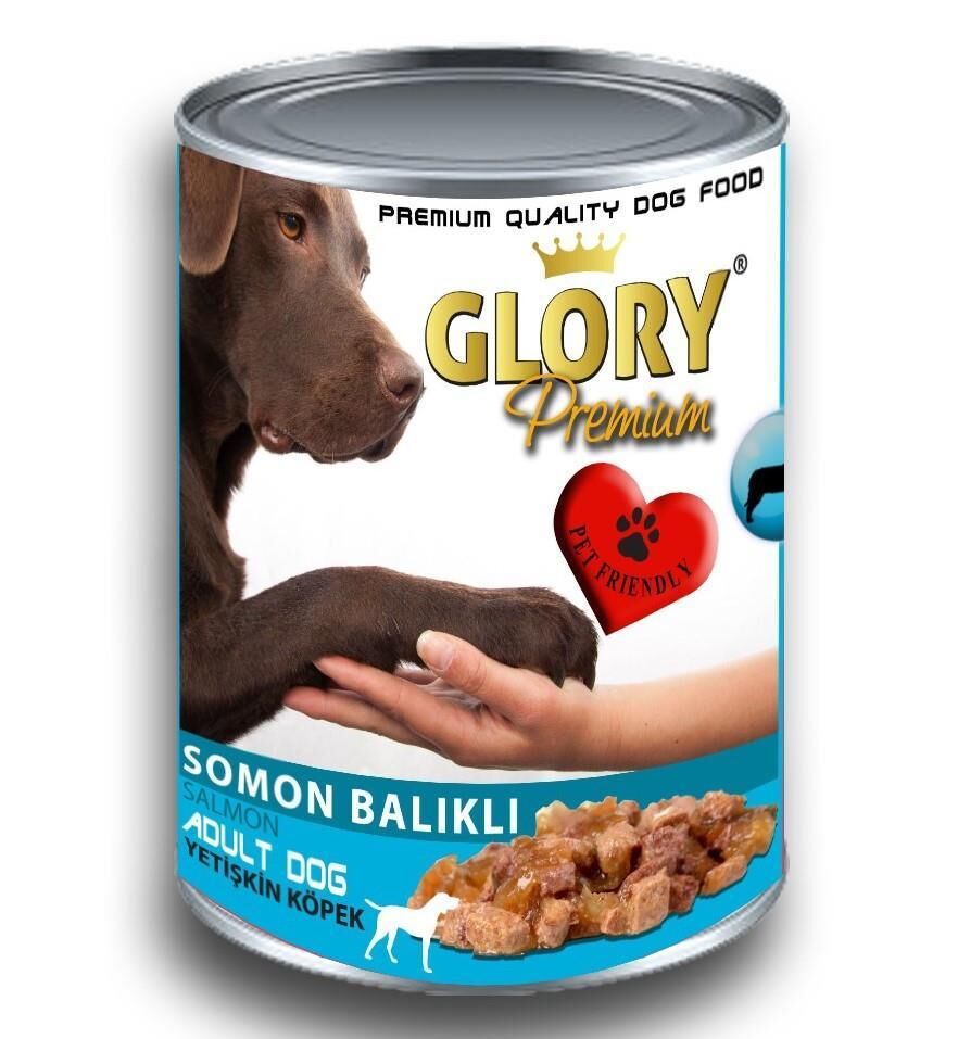 Glory Somon Etli Yetişkin Köpek Konserve Yaş Mama 400 gr