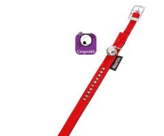 Karlie Deri Taşli Kedi Tasma Xs 30Cm-11Mm Kirmizi