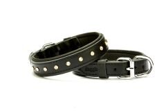 Doggie Konforlu Deri Swarovski Kristal Taşlı Köpek Boyun Tasması 3 x 38-46 cm Siyah