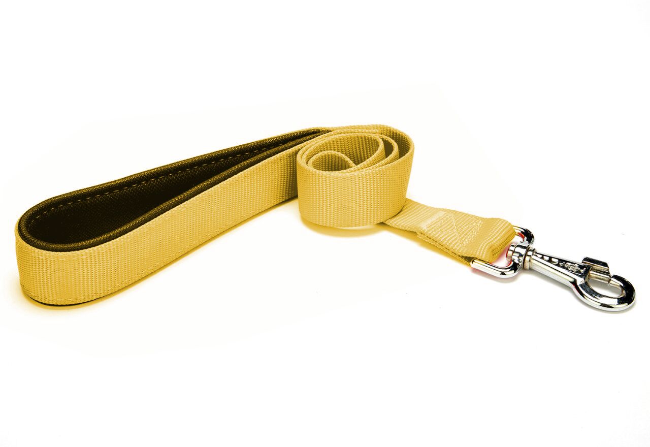 Markapet Köpek Gezdirme Kayışı 1,5 cm x 115 cm Sarı