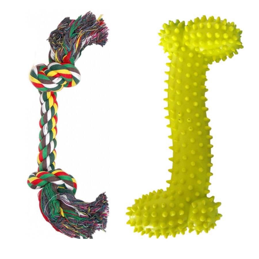 Ans Dental Diş İpi ve Kemiği 10 cm / 2 cm Yeşil