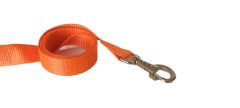 Markapet Köpek Gezdirme Kayışı 1,5 cm x 115 cm Turuncu