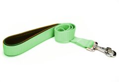Markapet Köpek Gezdirme Kayışı 1,5 cm x 115 cm Yeşil