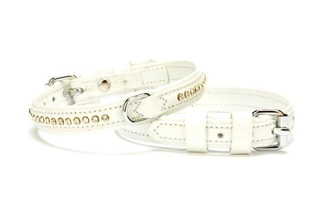 Doggie Flotter Deri Swarovski Kristal Taşlı Köpek Boyun Tasması 1,5 x 24-30 cm Beyaz