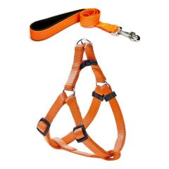Köpek Göğüs Tasma Seti 60-75 cm Turuncu + Gezdirme Kayışı