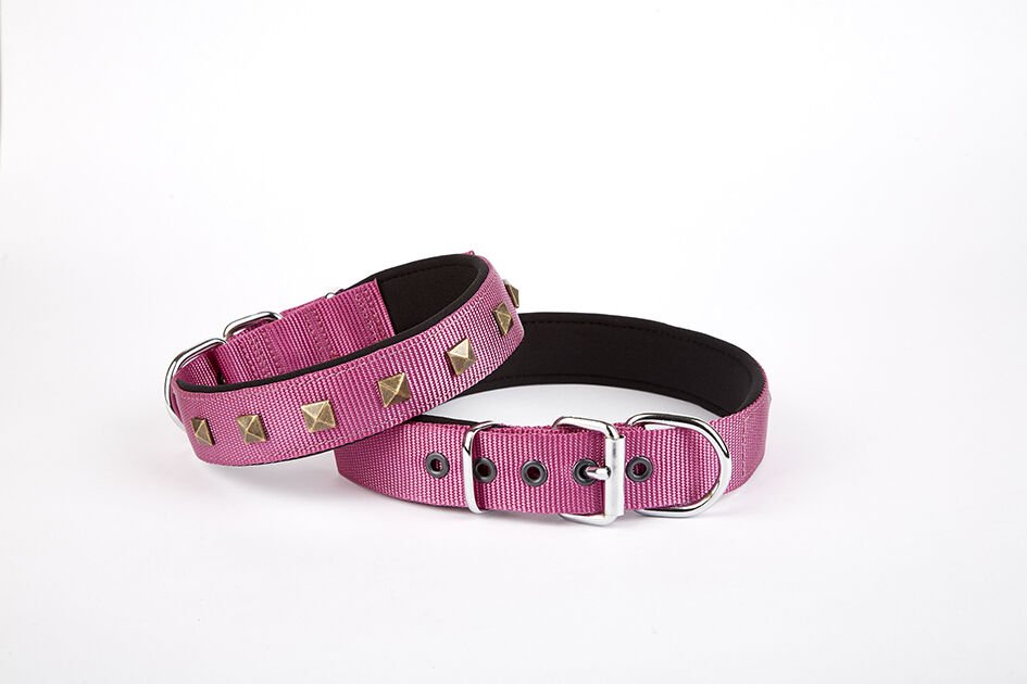 Doggie Piramit Desenli Köpek Tasması 2,5*42-50 cm Mor