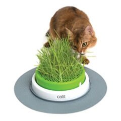 Catit Senses Kedi Otu Yetiştirme Kabı