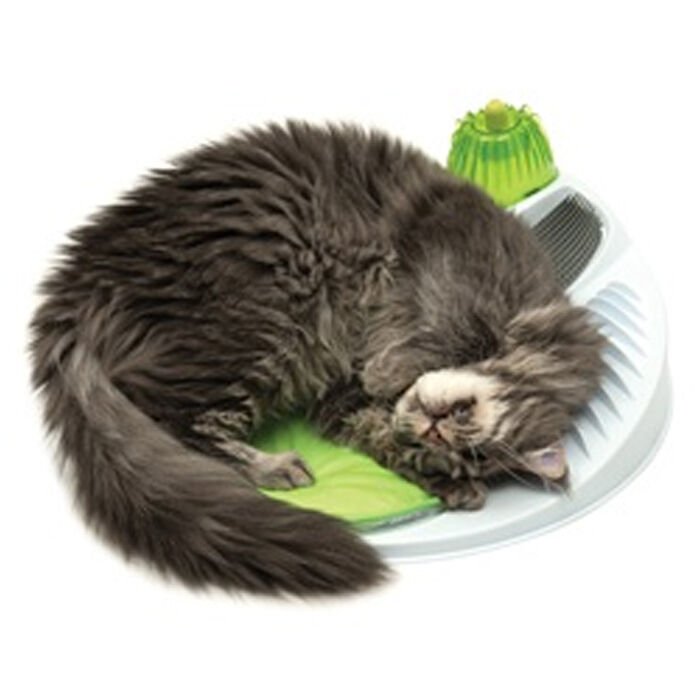 Catit Senses Kedi Oyun Merkezi Catnipli