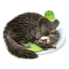 Catit Senses Kedi Oyun Merkezi Catnipli