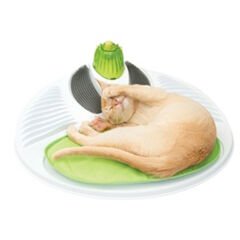 Catit Senses Kedi Oyun Merkezi Catnipli