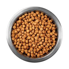 Pro Performance Kitten yavru Kedi Maması Somon Balıklı 1 kg Açık Mama