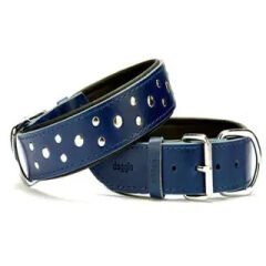 Doggie Rivetli Deri Köpek Boyun Tasması 4x57-65 cm Large Mavi