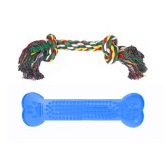 Ans Dental Plastik Köpek Oyuncak + Diş İpi 14 x 22 cm Mavi