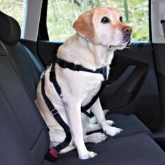 Köpek İçin Emniyet Kemeri X Large 80-110cm