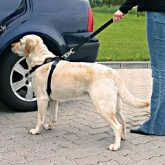 Köpek İçin Emniyet Kemeri X Large 80-110cm