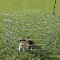 Yavru ve küçük köpek için açık hava oyun alanı