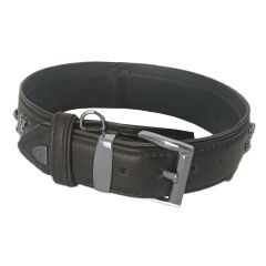 Markapet Deri Parlak Taşlı Köpek Boyun Tasması 44-50 cm Medium Siyah