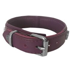Markapet Deri Parlak Taşlı Köpek Boyun Tasması 38-43 cm Small Mor