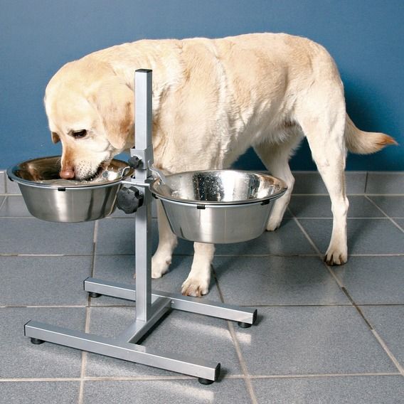 Ayaklı İkili Çelik Mama ve Su Kabı 2,8 Litre Min 15 cm Max 50cm