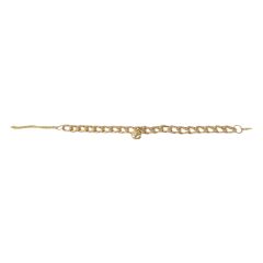 Markapet Kedi Ve Köpek Lüx Zincir Kolye 25-30 cm Medium Gold