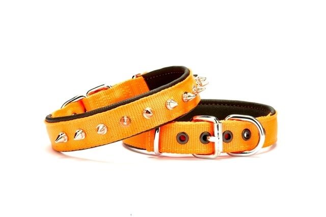 Doggie Çivi Desenli Köpek Tasması 2,5*50 cm Turuncu