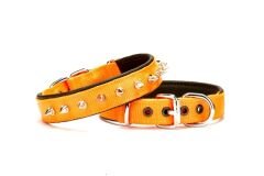 Doggie Çivi Desenli Köpek Tasması 2,5*50 cm Turuncu