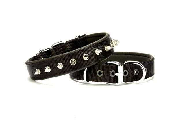 Doggie Çivi Desenli Köpek Tasması 2,5*50 cm Siyah