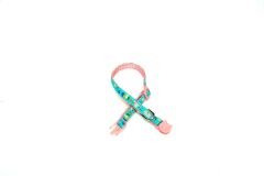 Doggie Ayarlanabilir Kitty Kedi Boyun Tasması 1 cm x 29 cm Pembe