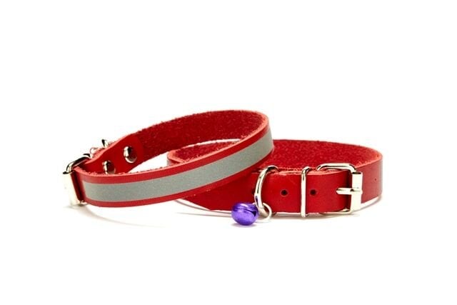 Doggie Reflektörlü Yavru Köpek Tasması 1,2 * 29 cm Kırmızı
