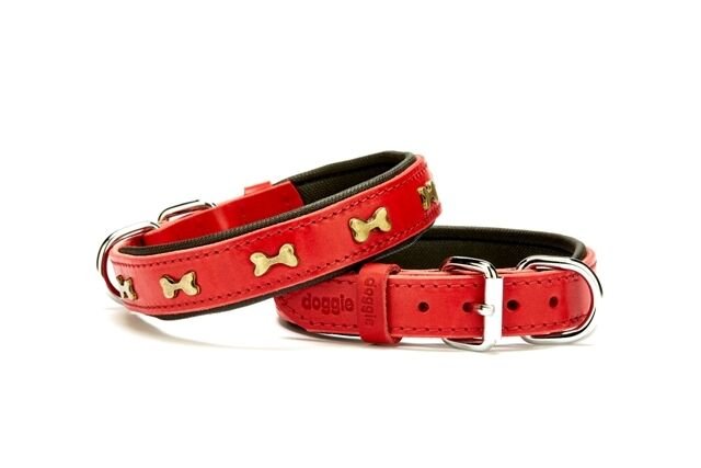 Doggie Metal Kemik Desenli Deri Tasma 2,5 cm / 50 cm Kırmızı