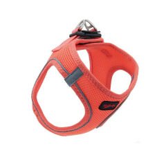 Tailpetz Air Mesh Köpek Göğüs Tasması Small 36x44 cm Salmon