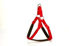 Doggie Comfort Ronin Köpek Bel Tasması 70cm Large Kırmızı Outlet