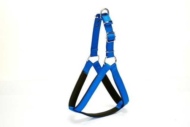 Doggie Köpek Göğüs Tasması 70 cm Large Mavi Outlet