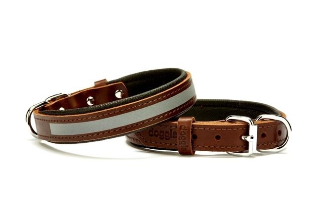 Doggie Reflektifli Deri Köpek Tasması 2 cmx45 cm Small